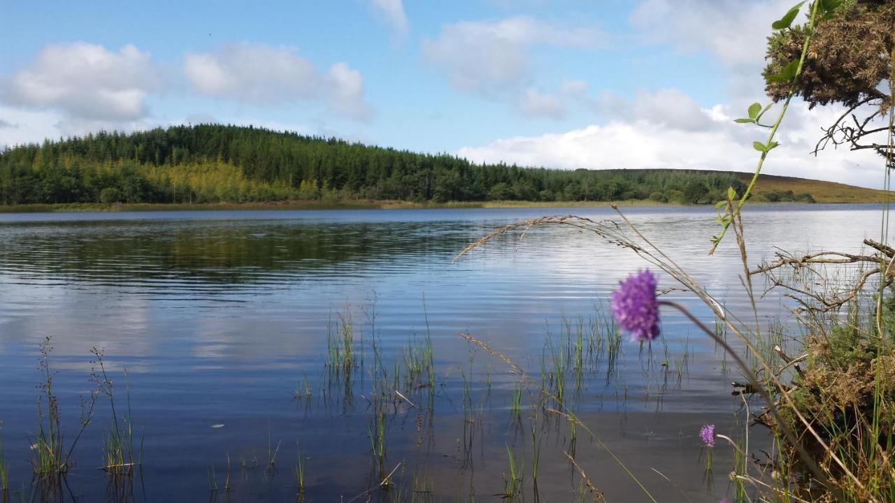 Lough Mardal Lodge Donegal Town المظهر الخارجي الصورة