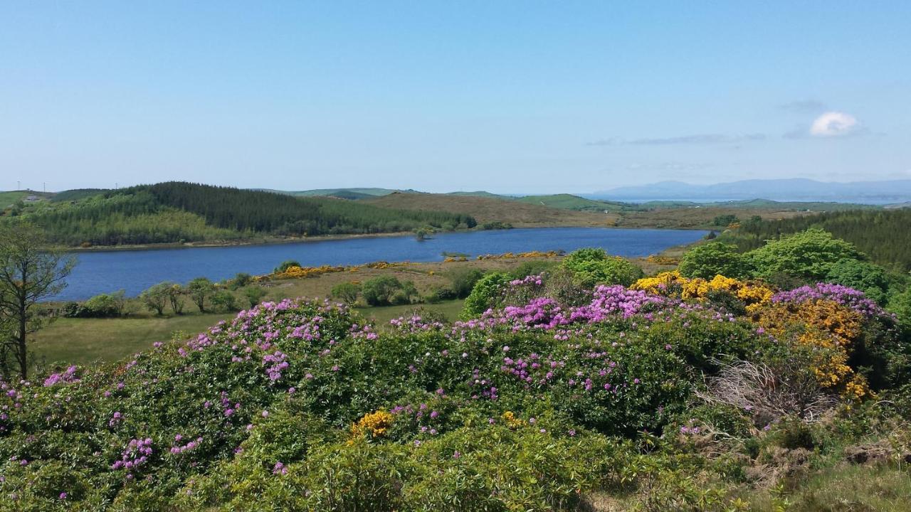 Lough Mardal Lodge Donegal Town المظهر الخارجي الصورة